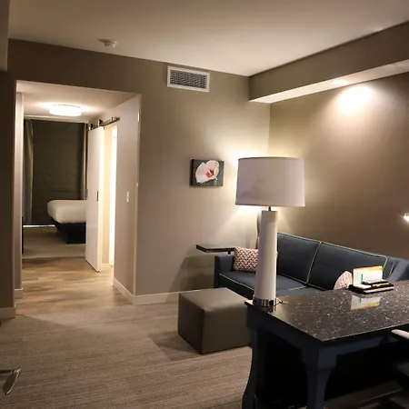 Hilton Garden Inn Austin Airport-3